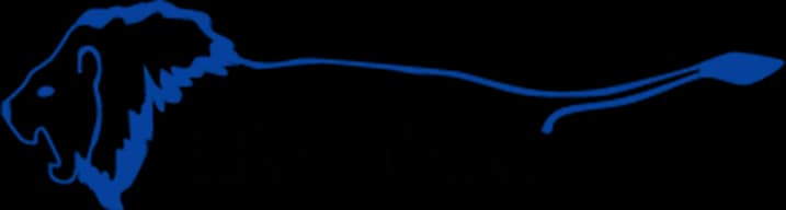 Lyon Financial Pool Financing